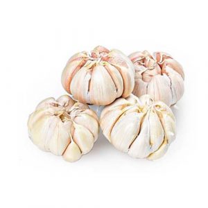 Bawang Putih