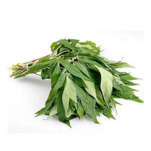 Daun Ubi