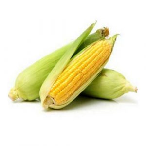 Jagung